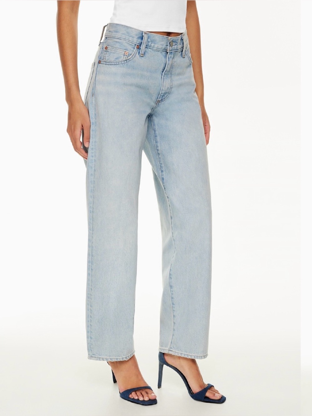 Aritzia Denim Forum Straight Leg High Rise Baggy Jean | The 90’s Danny Jean